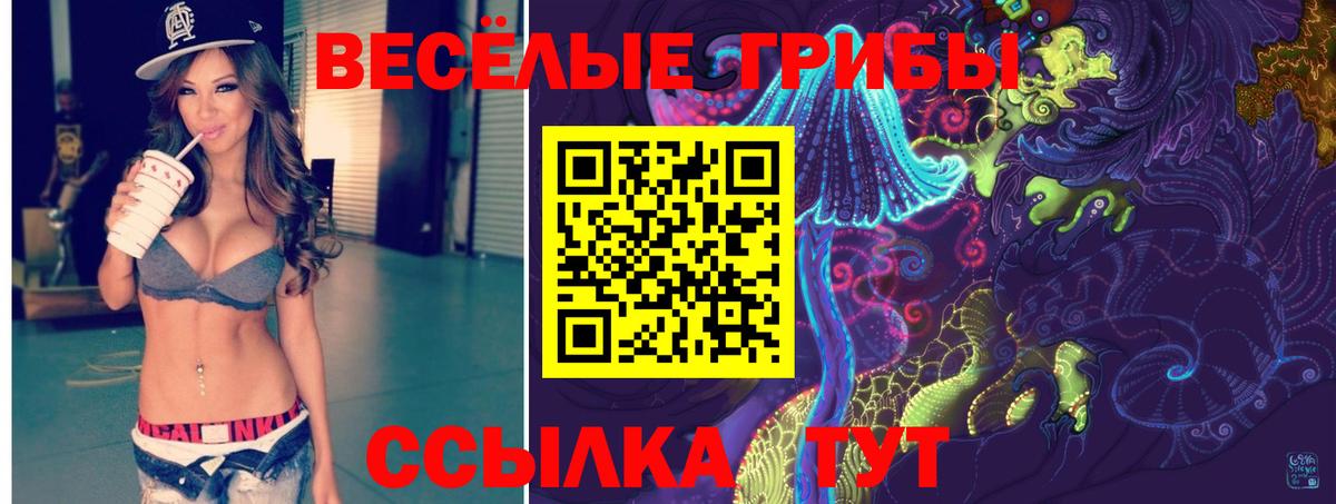 Псилоцибиновые грибы GOLDEN TEACHER  Галлюциногенные грибы Magic Shrooms  Киржач  Вход с VPN 