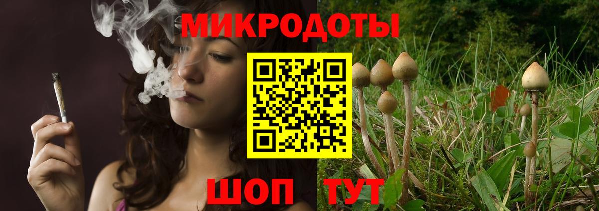 Псилоцибиновые грибы Psilocybine cubensis Киржач